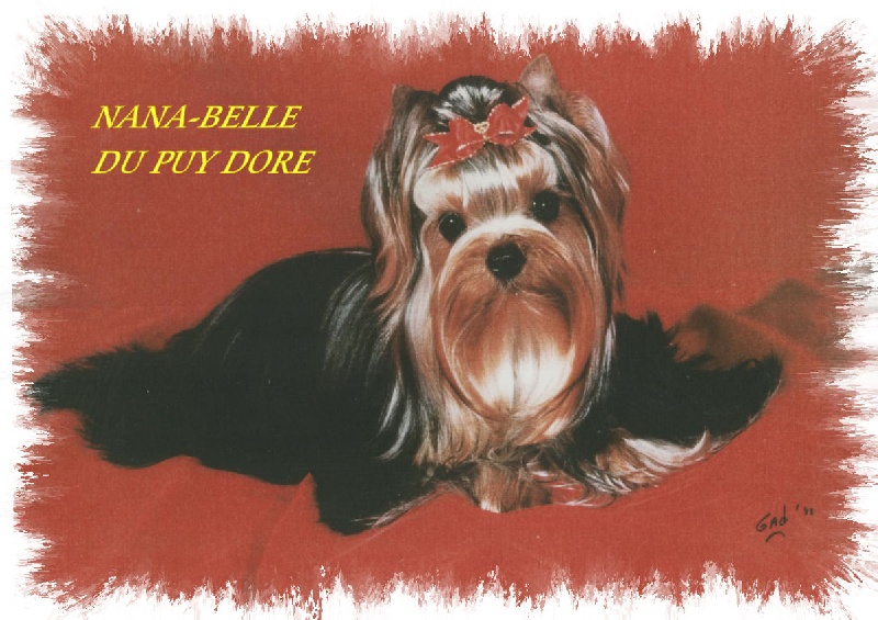 Nana-belle du Puy Doré