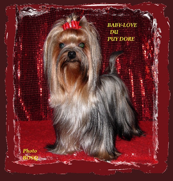 Baby-love du Puy Doré
