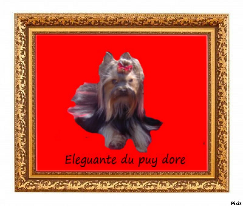 Elegante princesse du Puy Doré